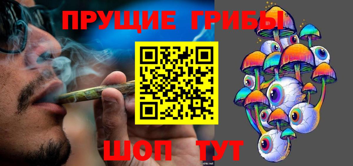 купить наркоту  Галлюциногенные грибы MAGIC MUSHROOMS  Лосино-Петровский  Вход с VPN  Псилоцибиновые грибы мицелий 