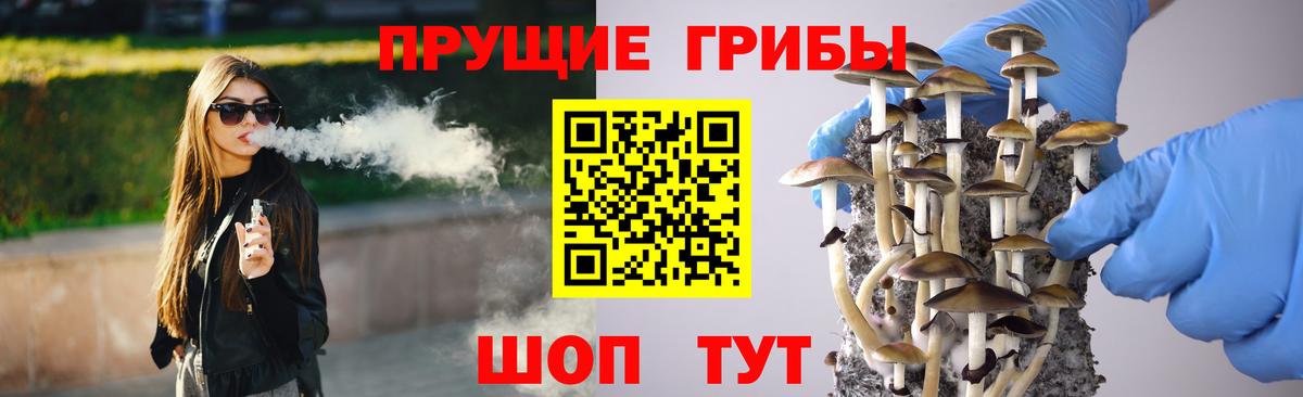 Галлюциногенные грибы прущие грибы Лосино-Петровский